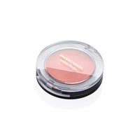 Faces Canada Perfect Blush 5g