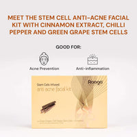 Raaga Professional Anti Acne Facial Kit 6 Steps