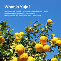 FARMSTAY Citrus Yuja Vitalizing Serum 100ml