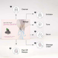 Raaga Professional Fairness Facial Kit 6 Steps
