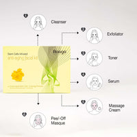 Raaga Professional Anti Aging Facial Kit 6 Steps
