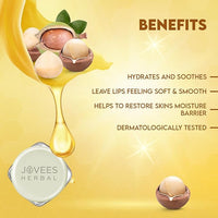 JOVEES Herbal Shea Butter Healing Lip Balm | 24 Hour Hydration | Heals Dry And Flaky Lips | Gives Soft And Supple Lips 8G, Off White