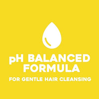 OGX Kukui Oil Shampoo Hydrate Plus Defrizz 13oz (385ml)