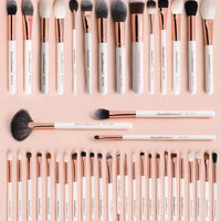 Beautilicious Professional Master Collection (43 PCS SET)