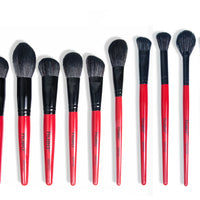 BEAUTILICIOUS Hued Collection Brush Kit (25 Pcs.) + Free Onyx Glam Brush book (Brush folder)