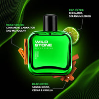 Wild Stone Forest Spice Eau De Parfum 100ml