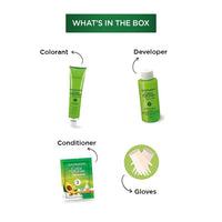 Garnier Color Naturals Creme Riche 3.16 Burgundy