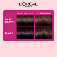 Loreal Paris Casting Creme Gloss Color 300 Darkest Brown 87.5g+72ml