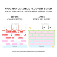 Glow Recipe Avocado Ceramide Recovery Serum 30ml