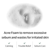 FARMSTAY Tea Tree Biome Low pH Calming Cleanser 180ml