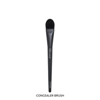 Forever52 Academic 12 Pcs Brush Set With 1 Sponge