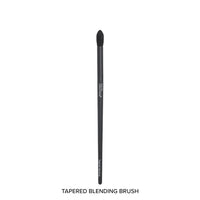 Forever52 Academic 12 Pcs Brush Set With 1 Sponge