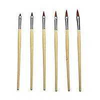 Shills Professional Nail Art Brushes Set