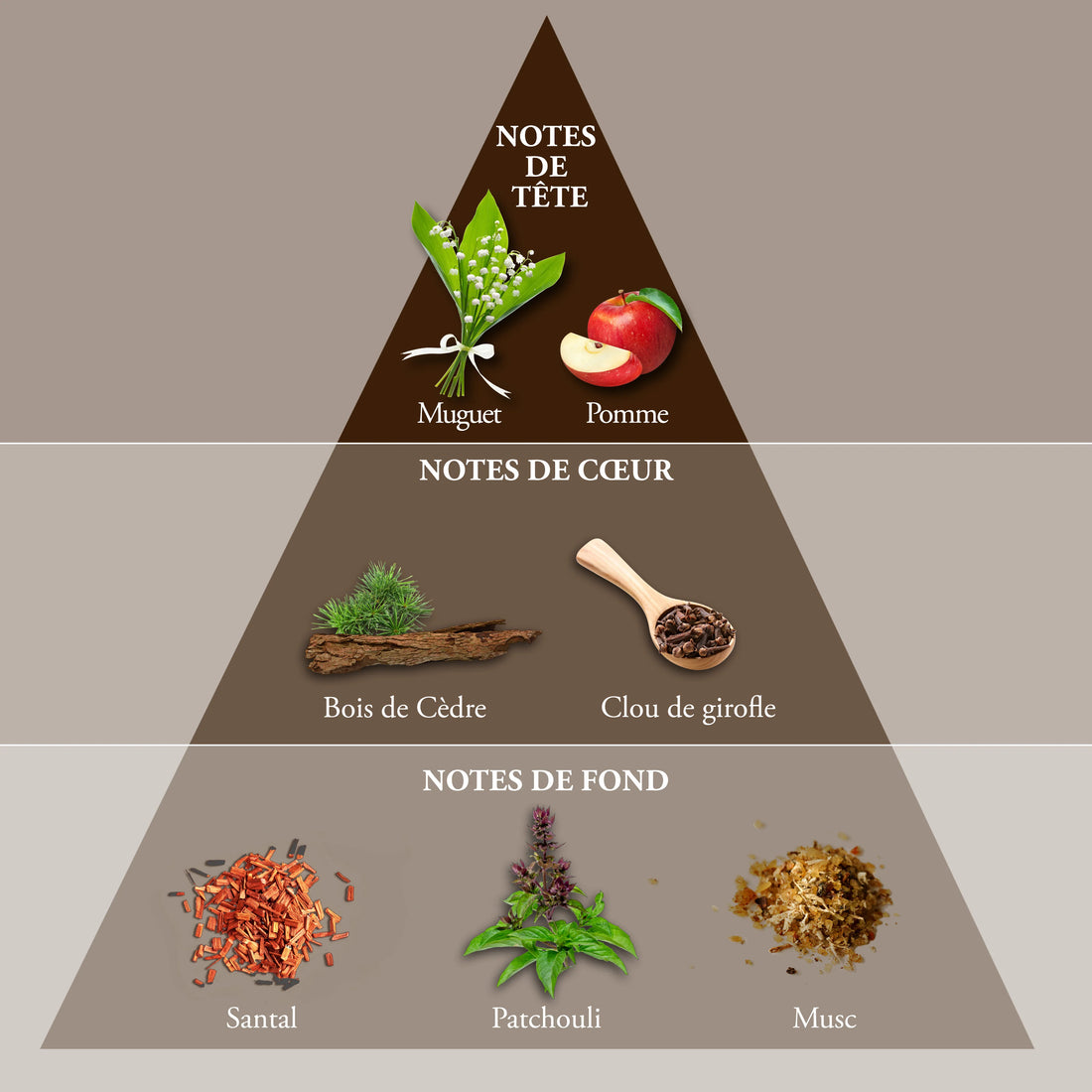 EVAFLOR PARIS WHISKY DOUBLE• Edp 100 ml • Men's Perfume