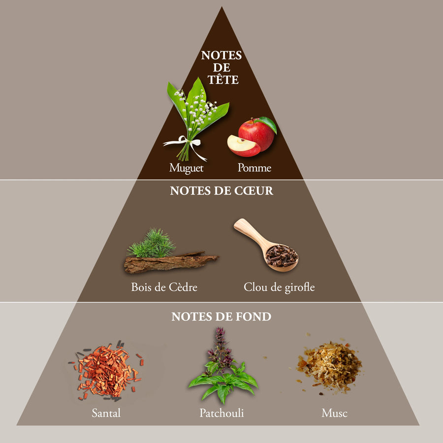 EVAFLOR PARIS WHISKY DOUBLE• Edp 100 ml • Men's Perfume