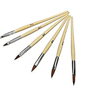 Shills Professional Nail Art Brushes Set