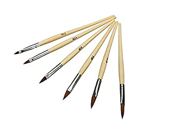 Shills Professional Nail Art Brushes Set