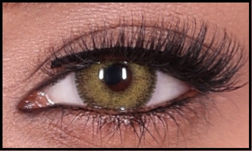 Gouri Cosmetics Premium Color Contact Lenses 5 Pair