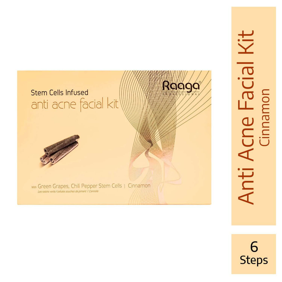 Raaga Professional Anti Acne Facial Kit 6 Steps
