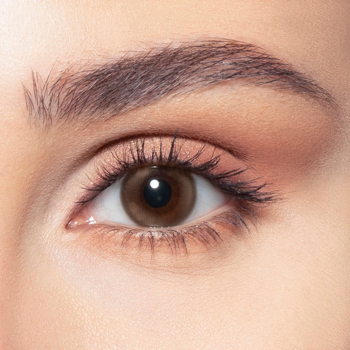 Bella One Day Collection Color Contact Lens (10 lens/box)
