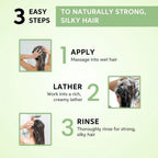 Wella Professionals Elements Renewing Shampoo 1000ml