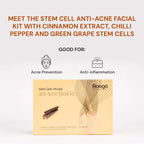 Raaga Professional Anti Acne Facial Kit 6 Steps