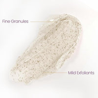 Lotus Herbals Face Exfoliator, Youth Rx Anti Aging Exfoliating Cream | Removes Dead Skin, Reduces Fine Lines, Wrinkles | Boosts Collagen, With Ginseng | Scrub For Women and Men | All Skin Types, 100g