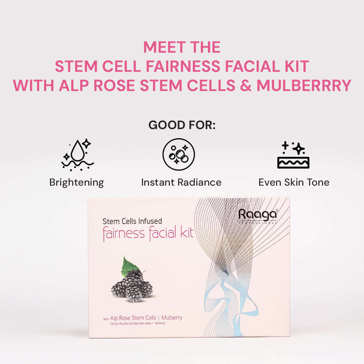 Raaga Professional Fairness Facial Kit 6 Steps