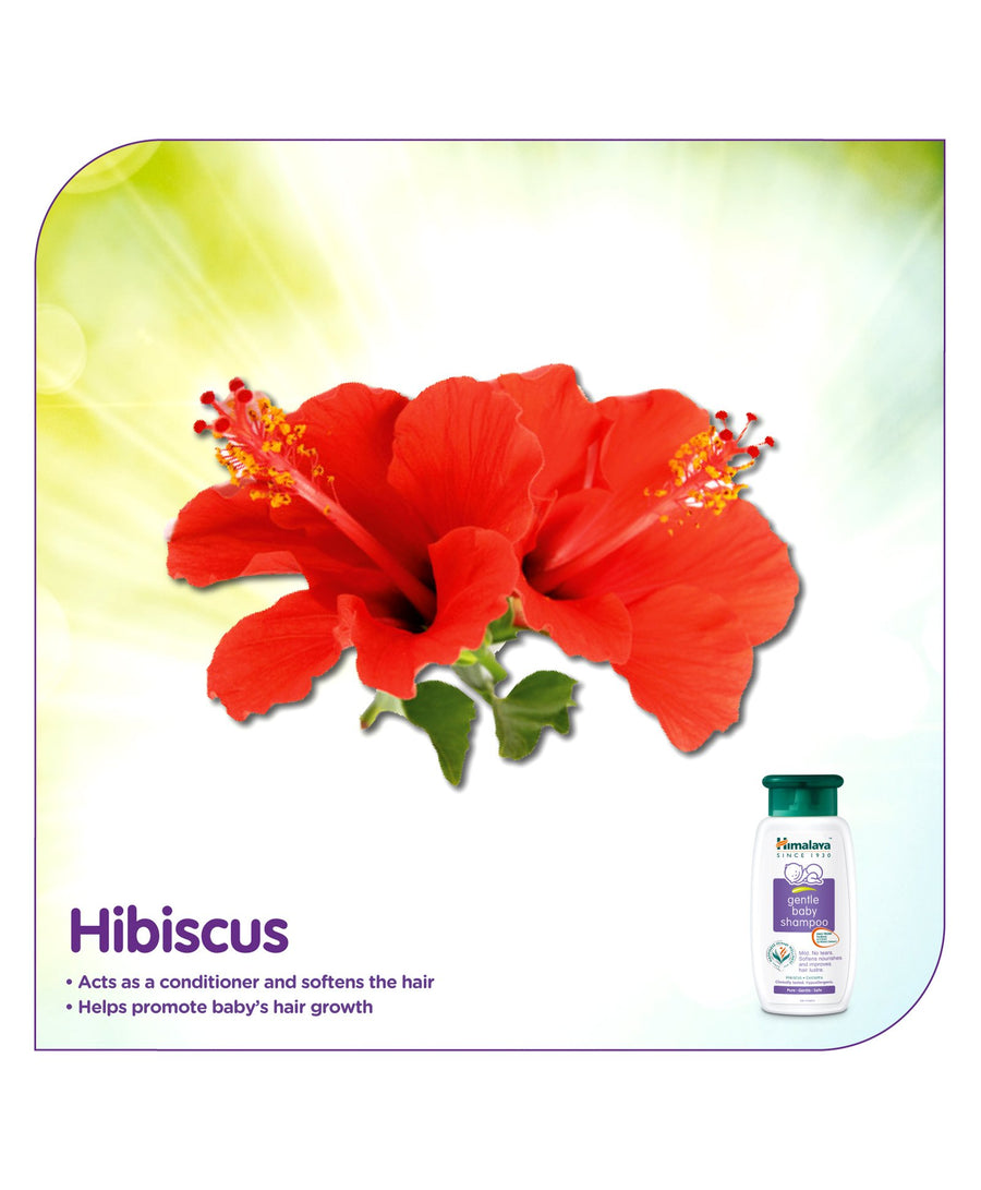 Himalaya Gentle Baby Shampoo Hibiscus Chickpea 400ml