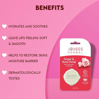 Jovees Herbal Sugar & Rose Petal Replenishing Lip Balm For Soft, Shiny and Glossy Lips | Lip Balm For Dark, Pigmented, Dry, Flaky Lips | 24 Hour Hydration | Rejuvenates Dry and Chapped Lips- 8g