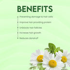 Jovees Herbal Keratin Hair Balance Conditioning Shampoo | Promotes Healthy, Shiny, and Bouncy Hair | Nourishes Scalp | Repairs Damage & Frizz | Makes Hair Soft & Smooth | All Hair Types – 300ml