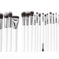 GLAM STOKES 22 PCS BRUSH SET