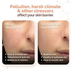 Mamaearth Chia Oil-Free Face Wash with Chia Seed & Ceramides 100ml