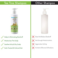 Mamaearth Tea Tree Anti Dandruff Shampoo, With Tea Tree & Ginger Oil, 250ml