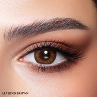 Bella One Day Collection Color Contact Lens - Almond Brown (10 lens/box)