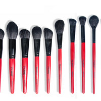 BEAUTILICIOUS Hued Collection Brush Kit (25 Pcs.) + Free Onyx Glam Brush book (Brush folder)