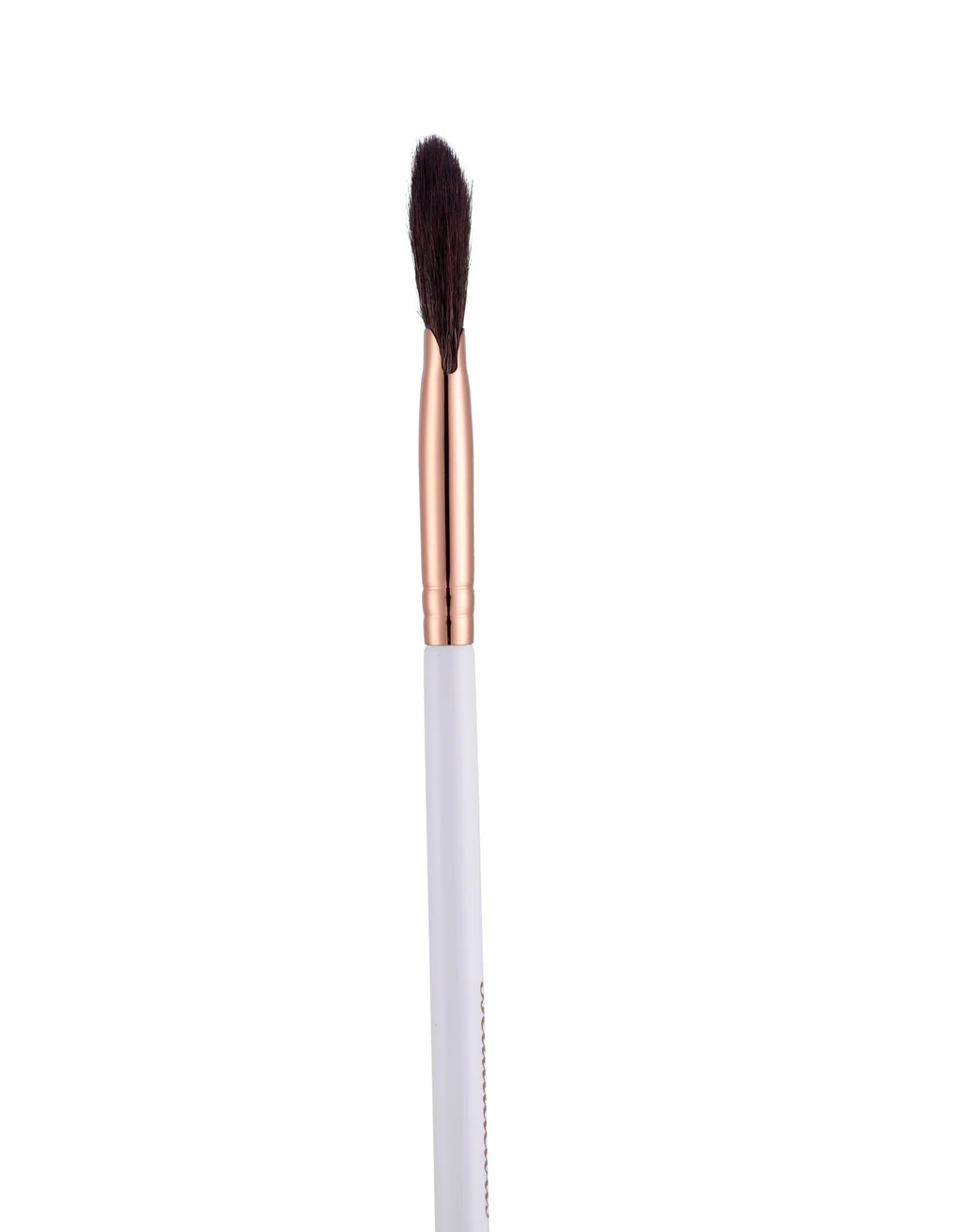 Beautilicious Fan Brush small BLE 212