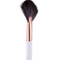 Beautilicious Fan Brush BLF-206