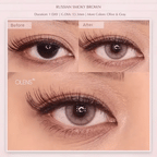 O-LENS 1 Day - Coloured Contact Lens (Daily) - 5 Pair(10pcs)