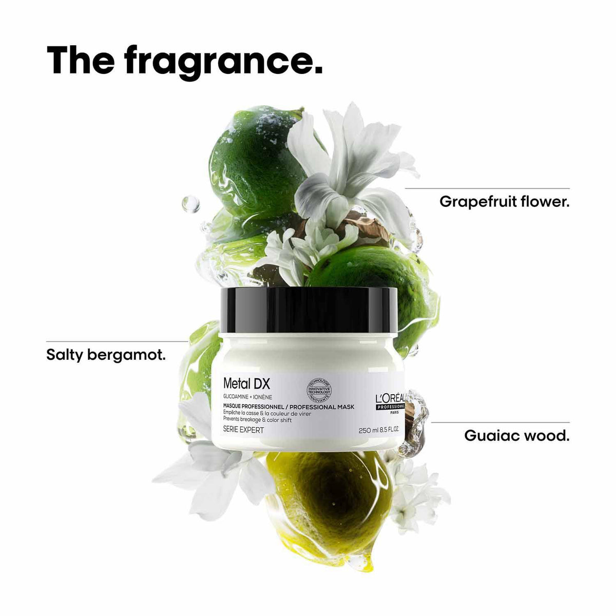 LOREAL PROFESSIONAL PARIS METAL DX MASK 250ML