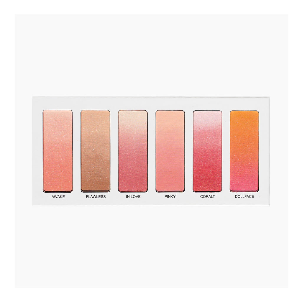 Shopaarel Blusher Powder 6*3.9G