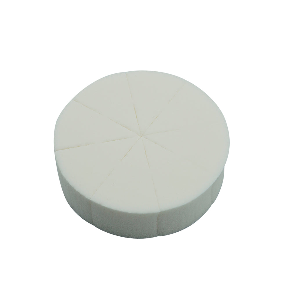 Proarte 80 Dia Nr Sponge In White Pa-150K