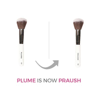 PRAUSH PROFESSIONAL POWDER BRUSH ( BIG ) P01