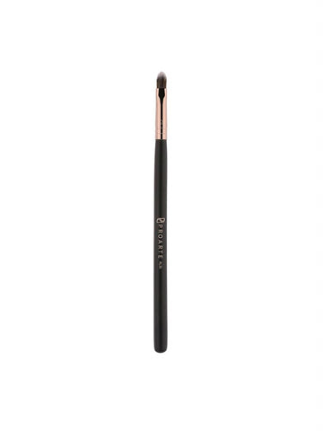 Proarte Pro Lip Precision Makeup Brush Black AL 36